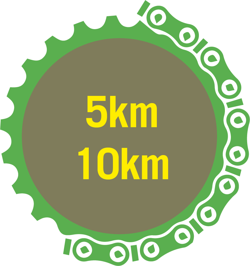 VTT
